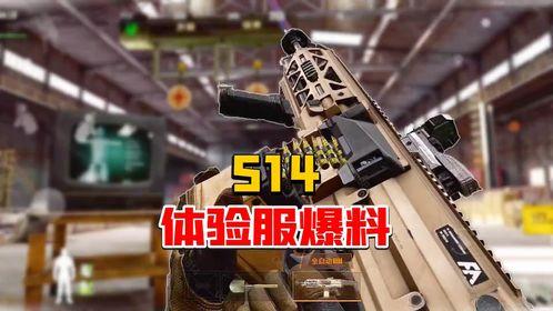 暗区体验服最新爆料,神秘暗区揭秘，全新玩法即将上线！